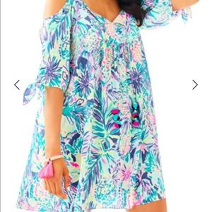 {🆕 listing} NWT Lilly Pulitzer Alanna Dress sz XL